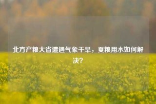 北方产粮大省遭遇气象干旱，夏粮用水如何解决？