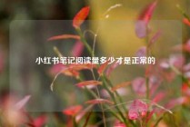 小红书笔记阅读量多少才是正常的