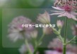 小红书一篇笔记多少字