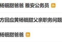 雅安纪委监委回应“黄杨钿甜耳环事件”：正在处理