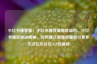 小红书播放量，小红书播放量有收益吗，小红书爆款秘诀揭秘，如何通过高播放量吸引更多关注亿乐社区SUP货源站