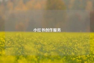 小红书创作服务