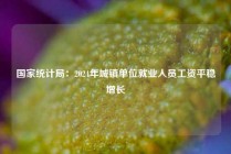 国家统计局：2024年城镇单位就业人员工资平稳增长