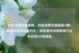 抖音点赞充值链接，抖音点赞充值链接50赞，解锁抖音互动新方式，轻松提升内容影响力亿乐社区SUP货源站
