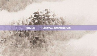 1块1万粉 - 一元获取万元粉丝的秘密方法!
