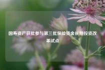 国寿资产获批参与第三批保险资金长期投资改革试点