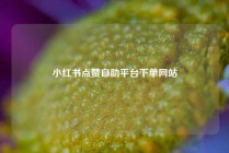 小红书点赞自助平台下单网站
