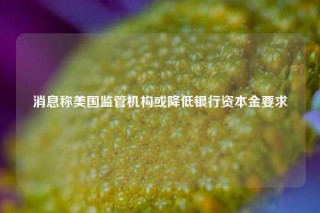 消息称美国监管机构或降低银行资本金要求