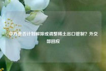 中方是否计划解除或调整稀土出口管制？外交部回应