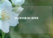 快手粉丝团1到17级列表