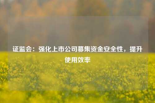 证监会：强化上市公司募集资金安全性	，提升使用效率  第1张