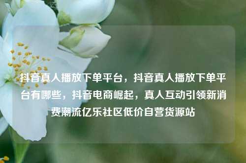 抖音真人播放下单平台，抖音真人播放下单平台有哪些，抖音电商崛起	，真人互动引领新消费潮流亿乐社区低价自营货源站  第1张