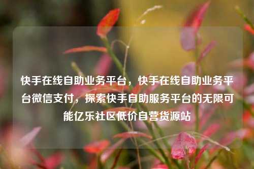 快手在线自助业务平台，快手在线自助业务平台微信支付，探索快手自助服务平台的无限可能亿乐社区低价自营货源站  第1张