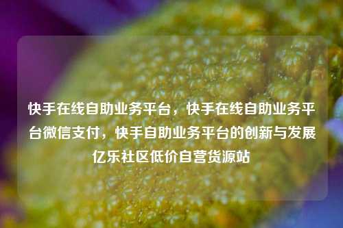 快手在线自助业务平台	，快手在线自助业务平台微信支付，快手自助业务平台的创新与发展亿乐社区低价自营货源站  第1张