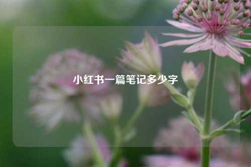 小红书一篇笔记多少字  第1张