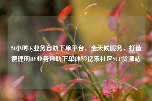 24小时dy业务自助下单平台，全天候服务	，打造便捷的DY业务自助下单体验亿乐社区SUP货源站  第1张