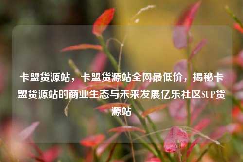 卡盟货源站，卡盟货源站全网最低价，揭秘卡盟货源站的商业生态与未来发展亿乐社区SUP货源站  第1张