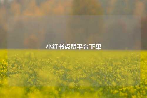 小红书点赞平台下单  第1张