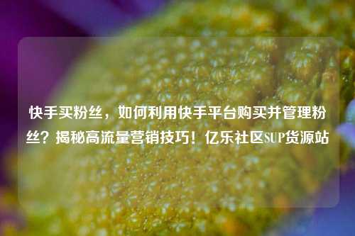 快手买粉丝，如何利用快手平台购买并管理粉丝？揭秘高流量营销技巧！亿乐社区SUP货源站  第1张