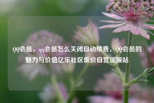 QQ会员	，qq会员怎么关闭自动续费，QQ会员的魅力与价值亿乐社区低价自营货源站  第1张