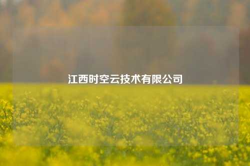 江西时空云技术有限公司  第1张