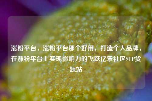 涨粉平台	，涨粉平台那个好用，打造个人品牌，在涨粉平台上实现影响力的飞跃亿乐社区SUP货源站  第1张