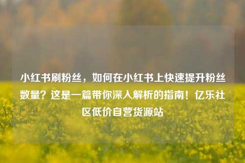 小红书刷粉丝	，如何在小红书上快速提升粉丝数量？这是一篇带你深入解析的指南！亿乐社区低价自营货源站  第1张