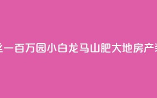 快手粉丝一百万0.01园小白龙马山肥大地房产装修网站,直播间人气协议网站 - 抖音低价业务全网最低 - 抖音点赞极速到账