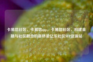 卡易信社区，卡易信app，卡易信社区，构建金融与社区融合的新桥梁亿乐社区SUP货源站
