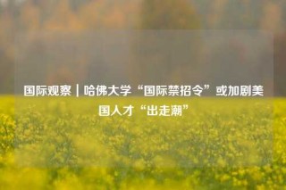 国际观察｜哈佛大学“国际禁招令”或加剧美国人才“出走潮”