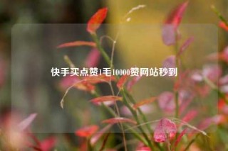 快手买点赞1毛10000赞网站秒到