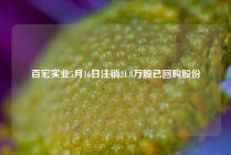 百宏实业5月16日注销21.8万股已回购股份