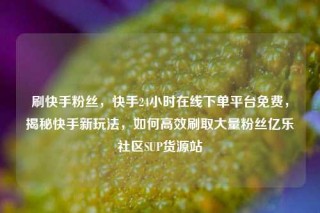 刷快手粉丝，快手24小时在线下单平台免费，揭秘快手新玩法，如何高效刷取大量粉丝亿乐社区SUP货源站