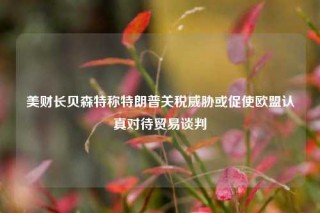 美财长贝森特称特朗普关税威胁或促使欧盟认真对待贸易谈判
