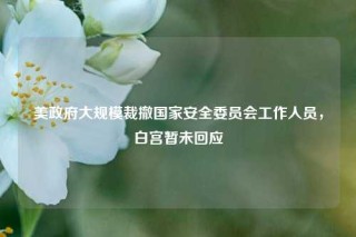 美政府大规模裁撤国家安全委员会工作人员，白宫暂未回应