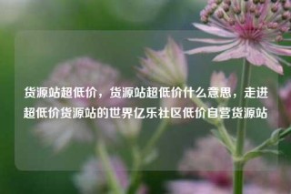 货源站超低价，货源站超低价什么意思，走进超低价货源站的世界亿乐社区低价自营货源站