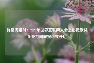 群星闪耀时：2025年世界互联网大会杰出贡献奖企业方向申报正式开启