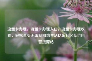 流量卡办理，流量卡办理入口，流量卡办理攻略，轻松享受无限制网络生活亿乐社区低价自营货源站