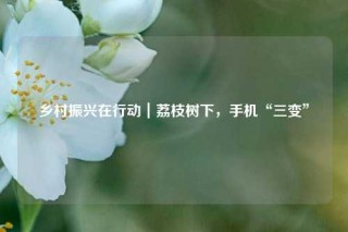 乡村振兴在行动｜荔枝树下，手机“三变”