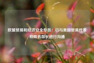 欧盟贸易和经济安全专员：已与美国贸易代表和商务部长进行沟通
