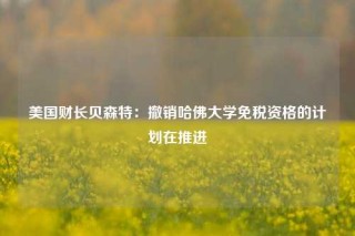 美国财长贝森特：撤销哈佛大学免税资格的计划在推进