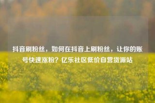 抖音刷粉丝，如何在抖音上刷粉丝，让你的账号快速涨粉？亿乐社区低价自营货源站