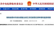 王月花涉嫌严重违纪违法，接受审查调查