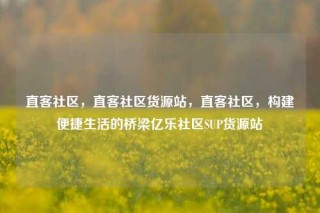 直客社区，直客社区货源站，直客社区，构建便捷生活的桥梁亿乐社区SUP货源站