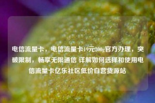 电信流量卡，电信流量卡19元200g官方办理，突破限制，畅享无限通信 详解如何选择和使用电信流量卡亿乐社区低价自营货源站
