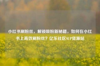 小红书刷粉丝，解锁吸粉新秘籍，如何在小红书上高效刷粉丝？亿乐社区SUP货源站