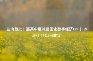 业内首批！嘉实中证诚通国企数字经济ETF（159389）5月23日成立