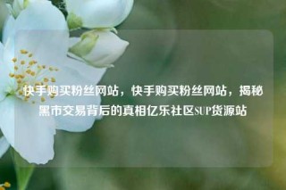 快手购买粉丝网站，快手购买粉丝网站，揭秘黑市交易背后的真相亿乐社区SUP货源站