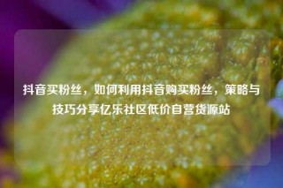 抖音买粉丝，如何利用抖音购买粉丝，策略与技巧分享亿乐社区低价自营货源站