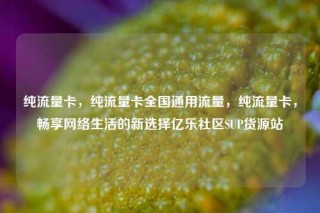 纯流量卡，纯流量卡全国通用流量，纯流量卡，畅享网络生活的新选择亿乐社区SUP货源站